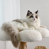 Cat Tree Tower for Indoor Cat Scratching Post Activity Tree Cat Condo Play House
