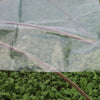 Greenhouse Polythene Plastic Cover UV5 Clear Poly Film 10m x 4m for Horticulture