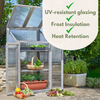 Greenhouse Cold Frame Small Garden Growing Plant Protection Germination Wooden
