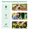 Polytunnel Greenhouse with Clear Cover, Walk-in Grow House, 3 x 2 x 2m