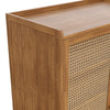 Double Rattan Doors Bamboo Shoe Cabinet Storage Cupboard Footwear Stand Rack