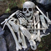 Halloween Decoration Skeleton Skull Bones Haunted Houses Party Scary Ornament UK