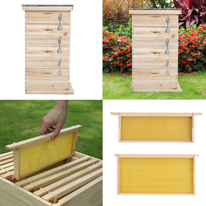 2/3/4Tier Langstroth Honey Beehive Box Beekeeping,Honeycomb Foundation Frame Set