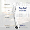 Display Plastic Adult Woman 177 cm Mannequin Torso Manikin Dress Form
