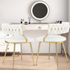 Velvet Dining Chair Set of 2 Upholstered Dining Chairs Modern Dining Chairs
