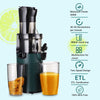 Electric Juicer Machine Juice Fruit Squeezer Slow Masticating Brush Pulp Cup UK