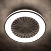 LED Ceiling Fan Light Dimmable Living Room Chandelier Lamp With Remote Control