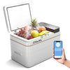 Car Refrigerator Freezer Fridge Portable Vehicle Camping Cooler Box -20℃~20℃ UK
