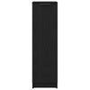 Black Oak Shoe Cabinet - 29.5 x 35 x 100.5 cm - Made of Engineered Wood