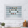 Wall Mounted Wooden Display Cabinet Glass Shelves Storage Organizer Showcase