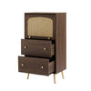 Modern Rattan Sideboard 2 Drawer Storage Cabinet Organizer Cupboard Living Room