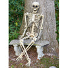 170cm Giant Human Life Size Skeleton Model Horror Posable Skull Halloween Decor