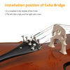 Natural Color Spruce Cello Panel with Tiger Pattern Bag Bow Rosin Strings