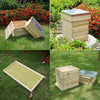 2/3/4Tier Langstroth Beehive Wax Foundation Sheet Frame Wood Bee Hive Beekeeping