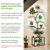 XL Plant Stand with Grow Lights Flower Holder Tree Shaped Bonsai Organizer Rack