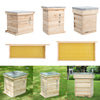 Langstroth/UK Beehive Box Wooden Bee Hive Frames Beekeeping Honey Brood Box Kit