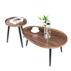 2PCS Walnut Wood Coffee Table Nesting Side Table with Metal Legs Room Apartment