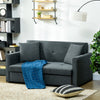 Convertible 2 Seater Sofa Bed with 2 Cushions Storage for Living Room Dark Grey