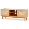 Costway TV Stand for 55-Inch TVs Mid Century Modern Entertainment Center
