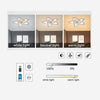 LED Ceiling Fan Light Dimmable Living Room Chandelier Lamp With Remote Wuqmepigy