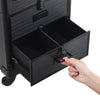 Vanity Makeup Trolley Beauty Case Hairdressing Cosmetic Nail Storage Box Drawers