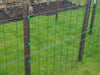 Permanent Garden Fencing-Panels-Dog Barrier Fence Poultry Pen-Various Heights
