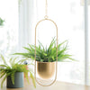 Metal Hanging Planter Basket Wall Ceiling Plant Flower Pot Holder Office Decor