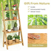 4-Tier Ladder Shelf Bamboo Bookshelf Bookcase Storage Organizer Plant Stand