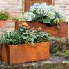 L/XL/XXL Cube Steel Garden Planter Patio Box Flowers Plant Pot Trough Raised Bed