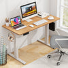 Electric Standing Desk 120x60cm Height Adjustable Desk Computer Desk-Natural