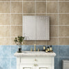 LED Bathroom 2 Doors Mirror Cabinet with Shaver Socket/Touch Sensor/Demister