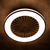 LED Ceiling Fan Light Dimmable Living Room Chandelier Lamp With Remote Control
