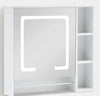 Tavion Bathroom Mirror Cabinet w/ shelves with Lights [1 Door+3 Shelves] 27-2-20