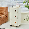 Plastic Shelving Unit Storage Case Cabinet File Sundries Organizer Box On Wheels
