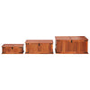 Storage Chests 3 pcs Solid Acacia Wood vidaXL