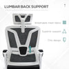 Executive Office Chair with Mesh Back, Lumbar Support, Arm, Foot Rest, Headrest