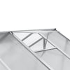 4x6/6x6/8x6/10x6FT Walk-In Greenhouse Aluminium Frame / Polycarb Panel Silver