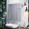 LED Bathroom Mirror Cabinet with Shaver Socket Infrared Sensor Cupboard 600×700