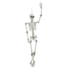 Poseable Full Life Size Human Skeleton 160cm Model Horror Bone Halloween Deco UK