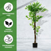 Artificial Ficus Tree Plant 150cm Large Ficus 5Ft Realistic Plants
