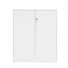 Metal Cupboard Storage Cabinet with 2 Doors for Office Laundry Workshop Garage