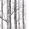 Grey Wood Birch Tree Wallpaper Forest Textured 3D Effect Wall Background Decor