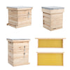 Langstroth/UK Beehive Box Wooden Bee Hive Frames Beekeeping Honey Brood Box Kit