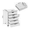 5 Drawer File Cabinet Mobile Office Cabinet with Wheels File Folder Rustic White