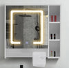 Tavion Bathroom Mirror Cabinet w/ shelves with Lights [1 Door+3 Shelves] 27-2-20