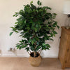 Artificial Ficus Tree Plant 120cm Large Ficus 120cm Realistic Plants