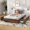 Double Iron Bed Frame Heavy-Duty Platform Bed Base Mattress Foundation w/Drawers