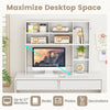 Countertop Storage Organizer Display Rack-White
