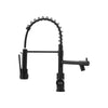 New Mono Pull Out Kitchen Mixer Tap Dual Spout Spray with Pull Down Spring Spout