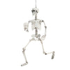 Halloween Poseable Skeleton Full Life Size Human Skeleton Decoration Prop 160cm